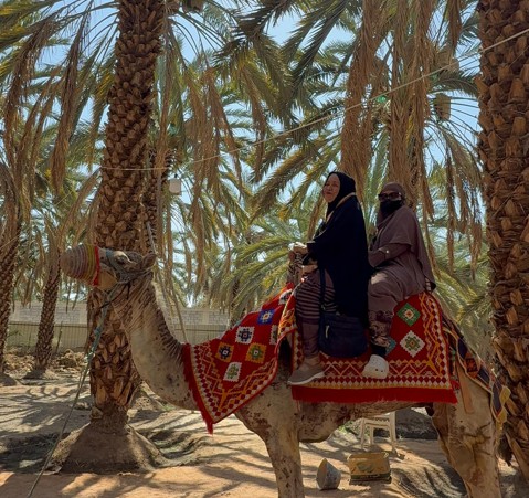 Mengingat yang Terlupa: Tafsir Surat Al-Mujadilah Ayat 6 sebagai Bekal Perjalanan Pulang