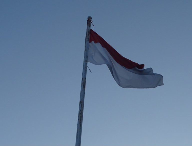 Hari Pahlawan: Menelusuri Jejak Perjuangan La Sinrang, Pahlawan Kebanggaan Bumi Pinrang